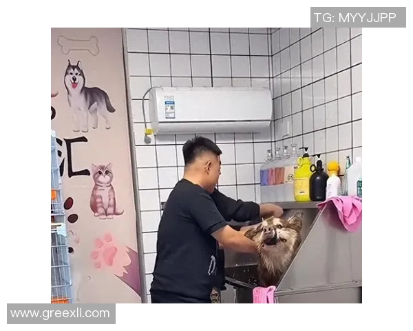 球星爱犬走红社交媒体粉丝数激增成为新晋网红